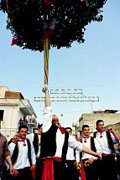 festa di li schietti, alzata dell'albero a Terrasini